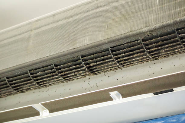 Best Dryer Vent Cleaning Services  in Northumberland, PA